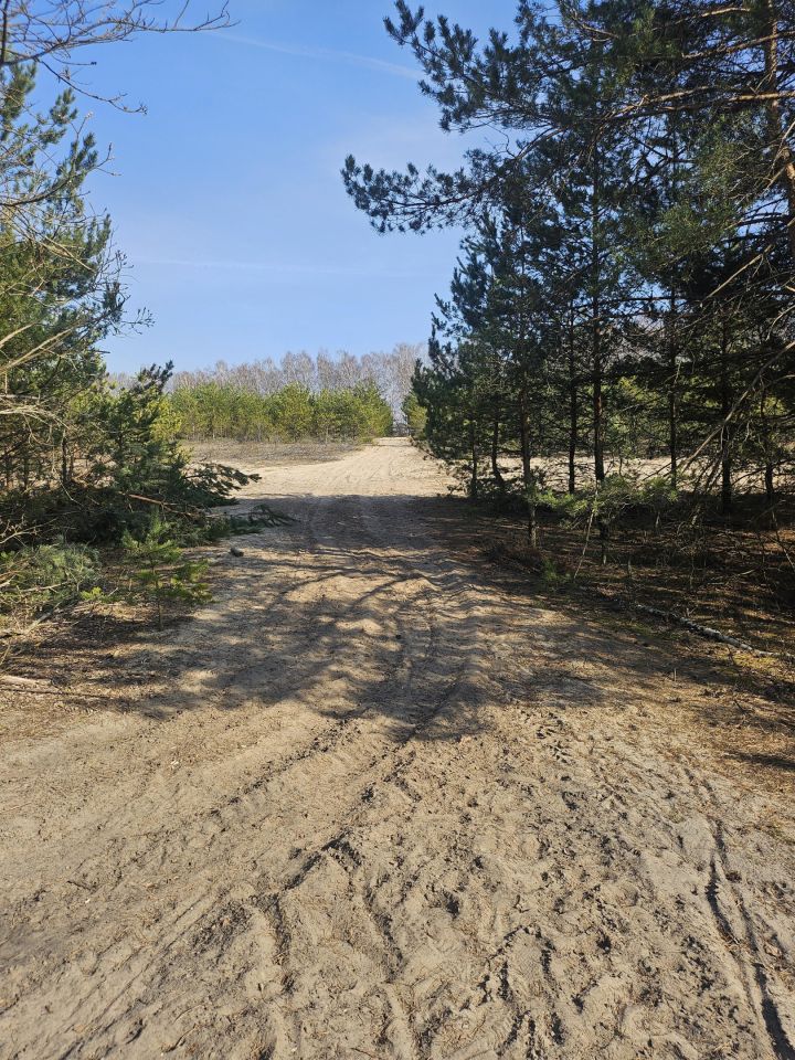 Działka rolno-budowlana Teodory. Zdjęcie 9