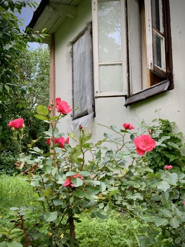 siedlisko Husynne Kątek. Zdjęcie 33