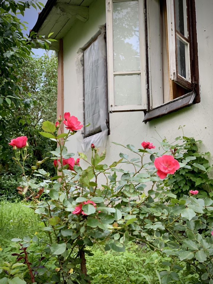 siedlisko Husynne Kątek. Zdjęcie 33