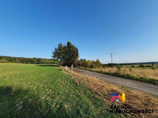 Działka budowlana Drągowina. Zdjęcie 9