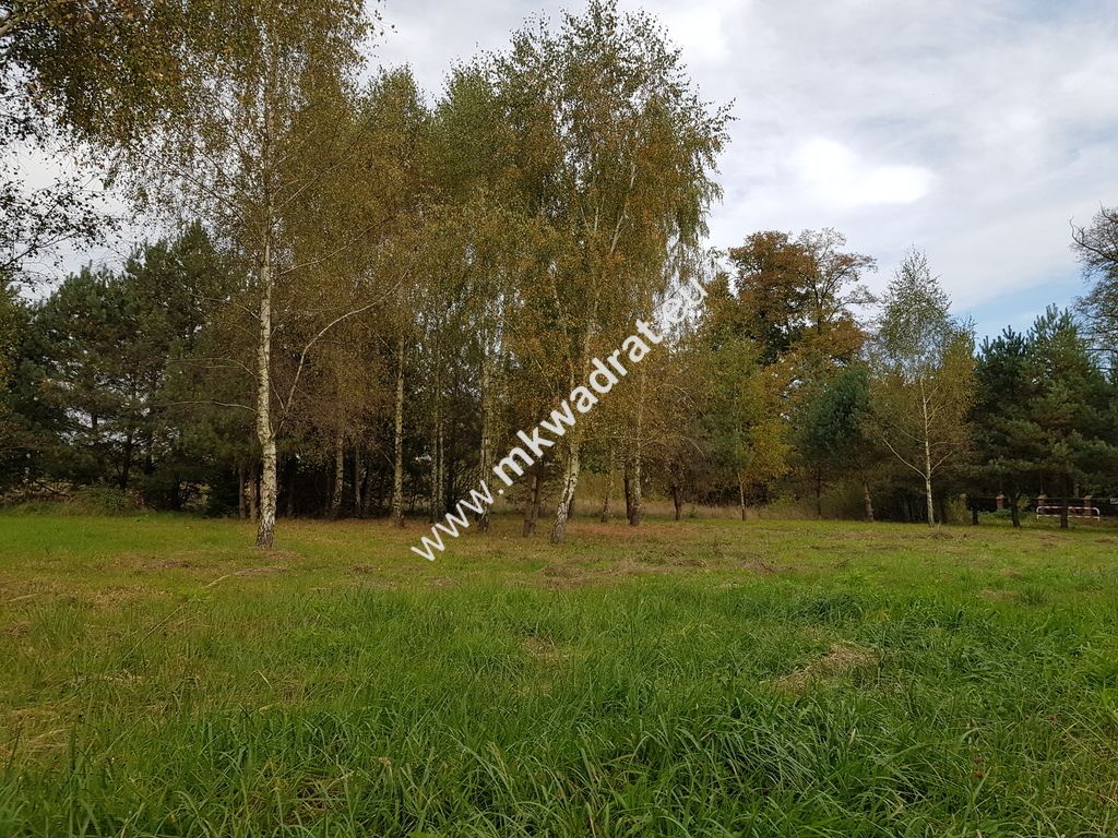 Działka budowlana Radziejowice-Parcel. Zdjęcie 6