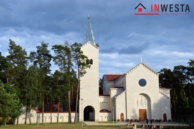 Działka leśna Świniotop. Zdjęcie 4