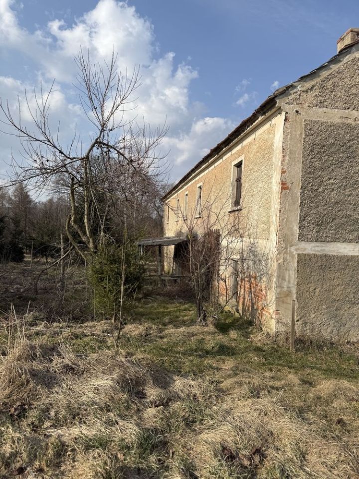 gospodarstwo Rząśnik. Zdjęcie 4