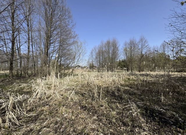 dom wolnostojący, 4 pokoje Słodków Pierwszy. Zdjęcie 17
