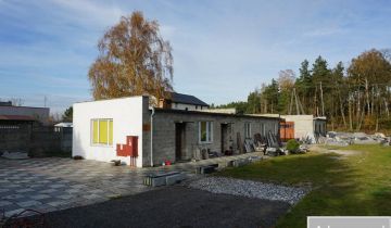 Hala/magazyn Poddębice, ul. Targowa
