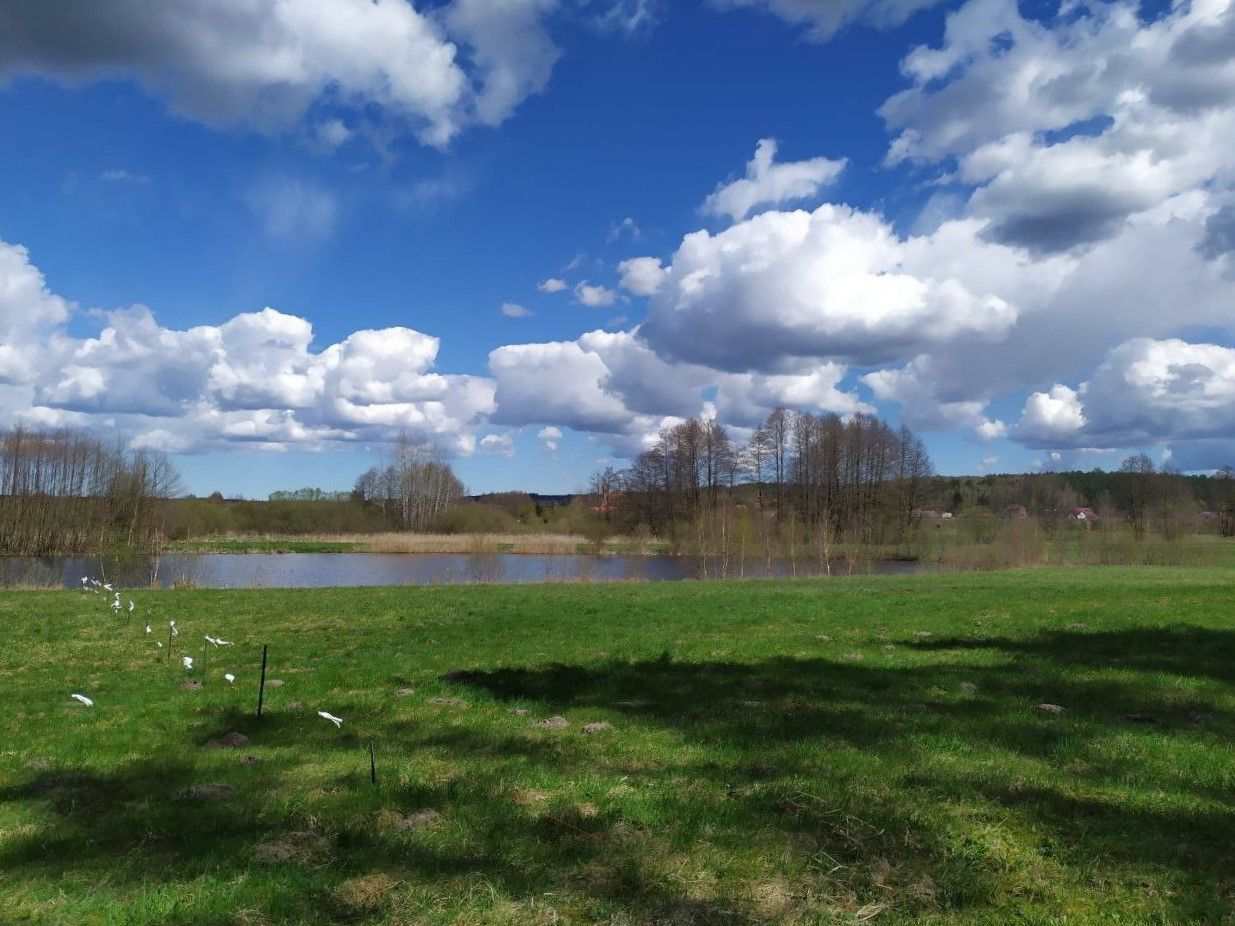 Działka budowlana Jałowiec, ul. Łąki