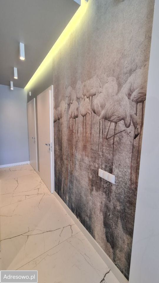 dom wolnostojący, 5 pokoi Żółwieniec. Zdjęcie 5