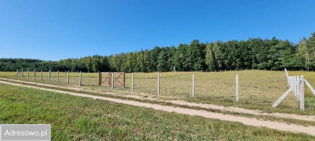 Działka rekreacyjna Huta-Chojno. Zdjęcie 2