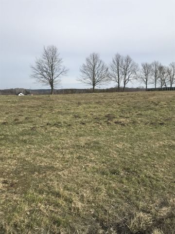 Działka budowlana Luzino, ul. Grodzka. Zdjęcie 1