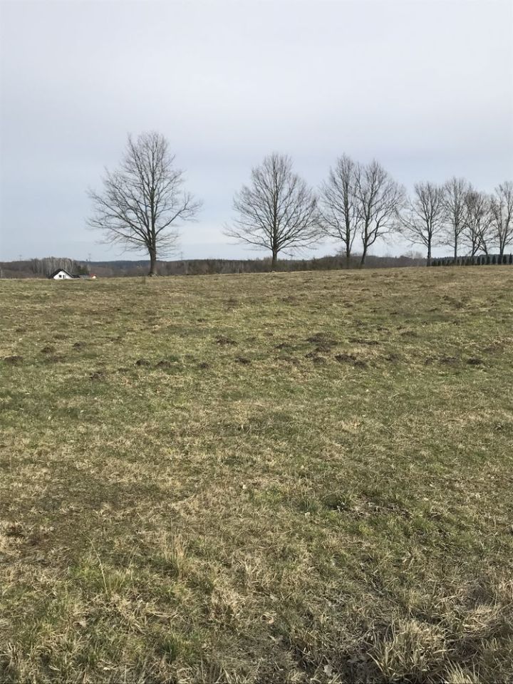 Działka budowlana Luzino, ul. Grodzka