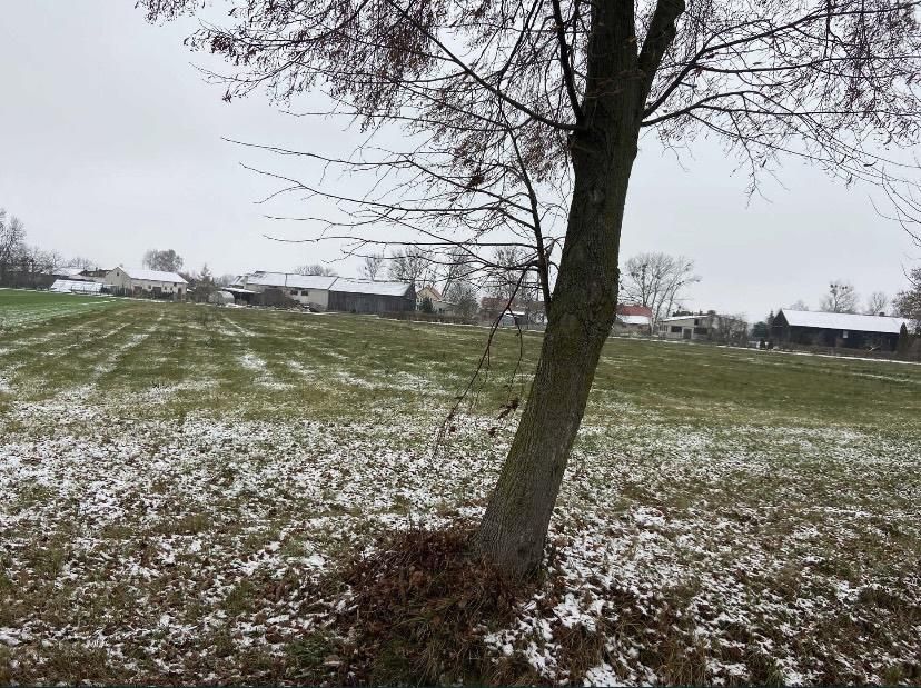 Działka budowlana Klewki. Zdjęcie 3