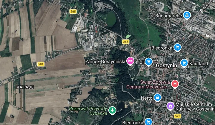 Mieszkanie 1-pokojowe Gostynin, 3 go mają 39