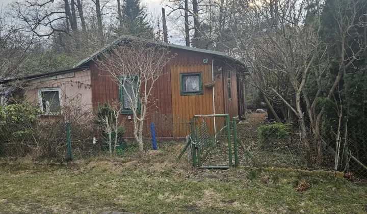 Działka rod Odrano-Wola, ul. Niedźwiedzia