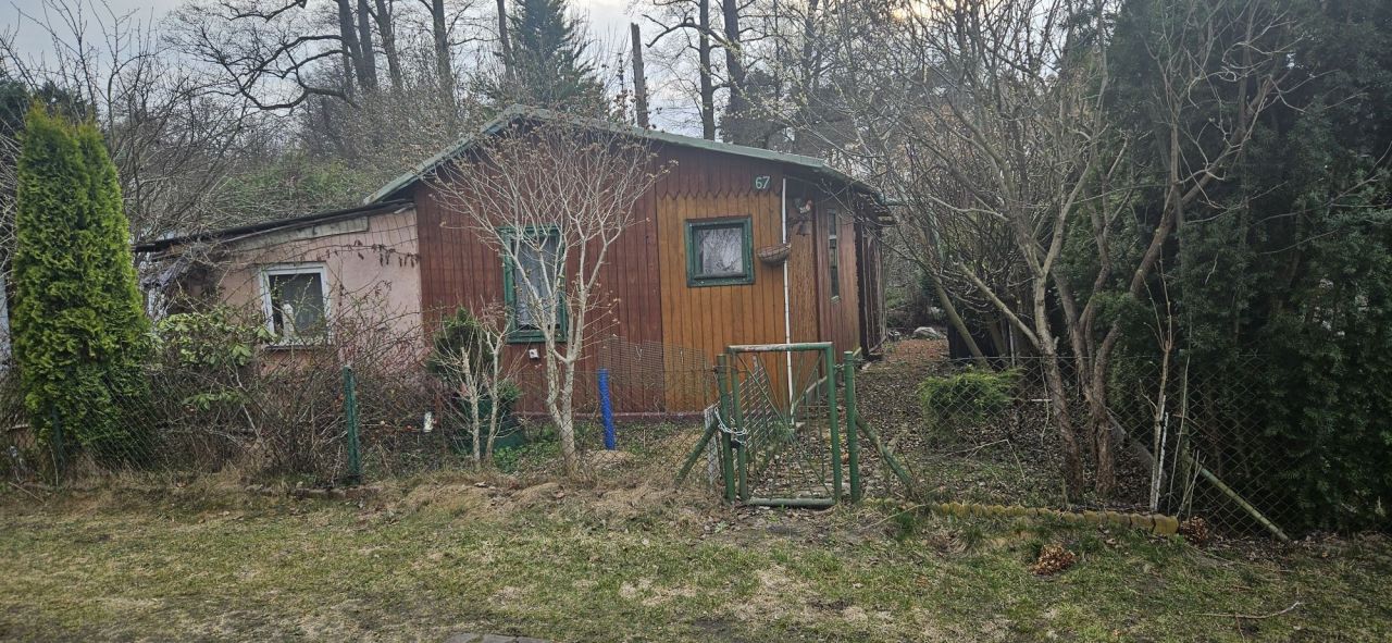 Działka rod Odrano-Wola, ul. Niedźwiedzia. Zdjęcie 1