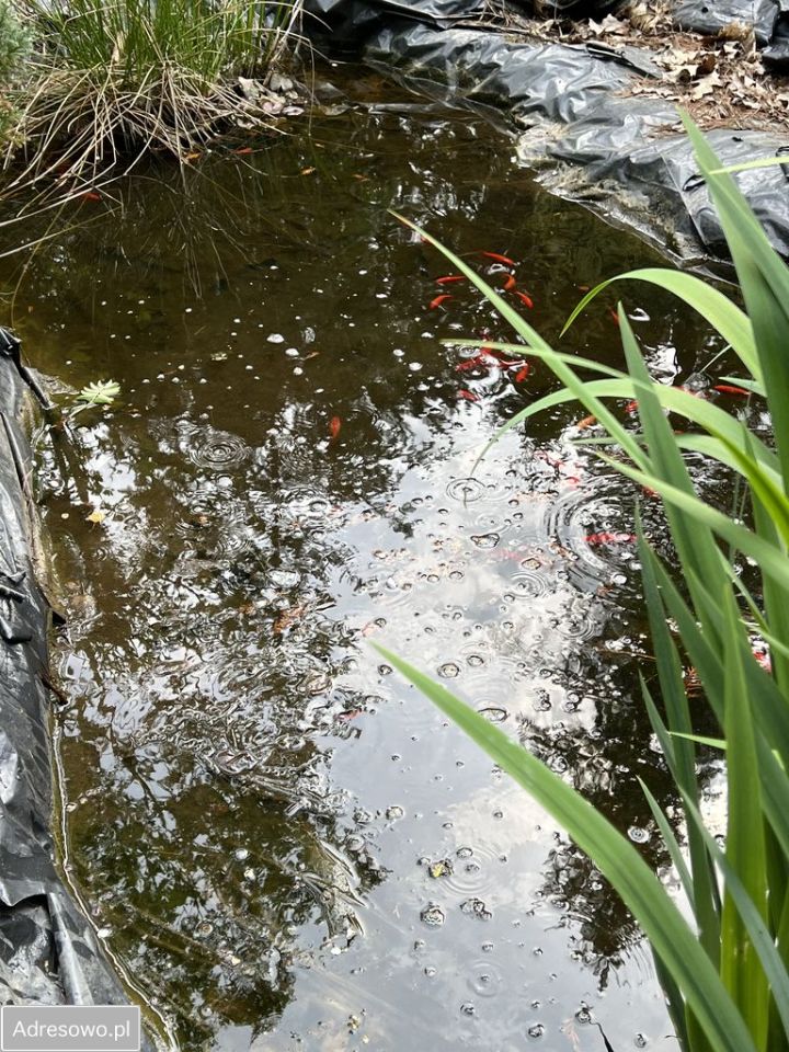 Działka rekreacyjna Rogóźno. Zdjęcie 5