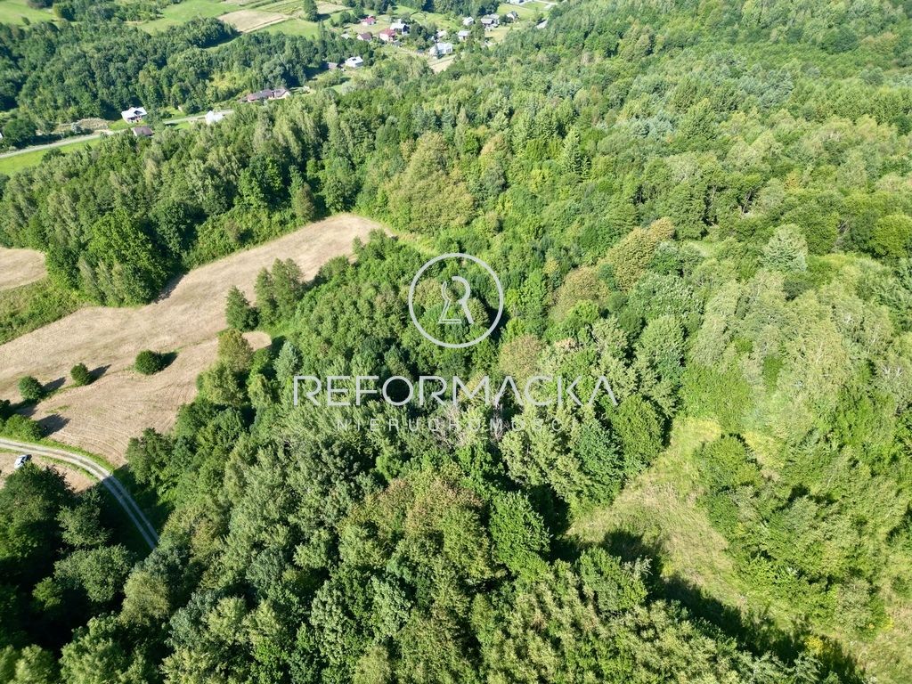 Działka rolna Dubiecko. Zdjęcie 11
