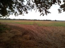 Działka rolna Głoska, ul. Średzka. Zdjęcie 2