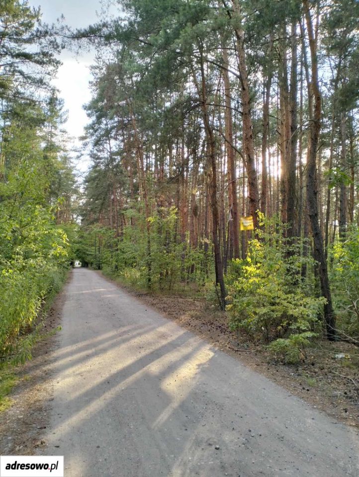 Działka Józefów, ul. Podleśna. Zdjęcie 2