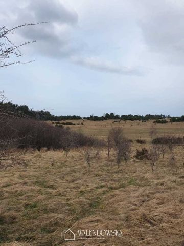Działka rolna Gardna Wielka. Zdjęcie 5