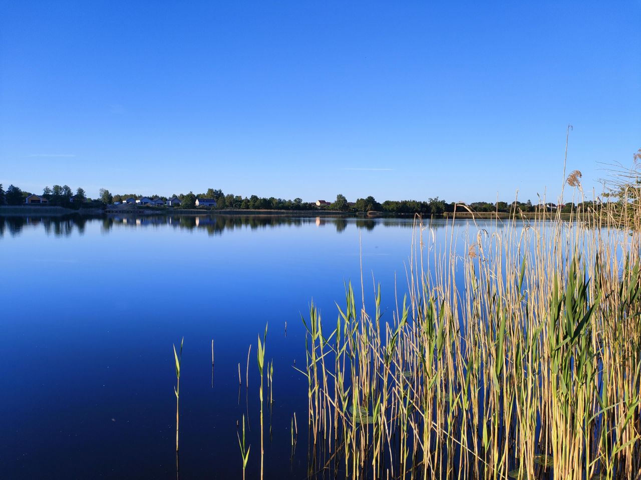 Działka rolna Wiechowo. Zdjęcie 12