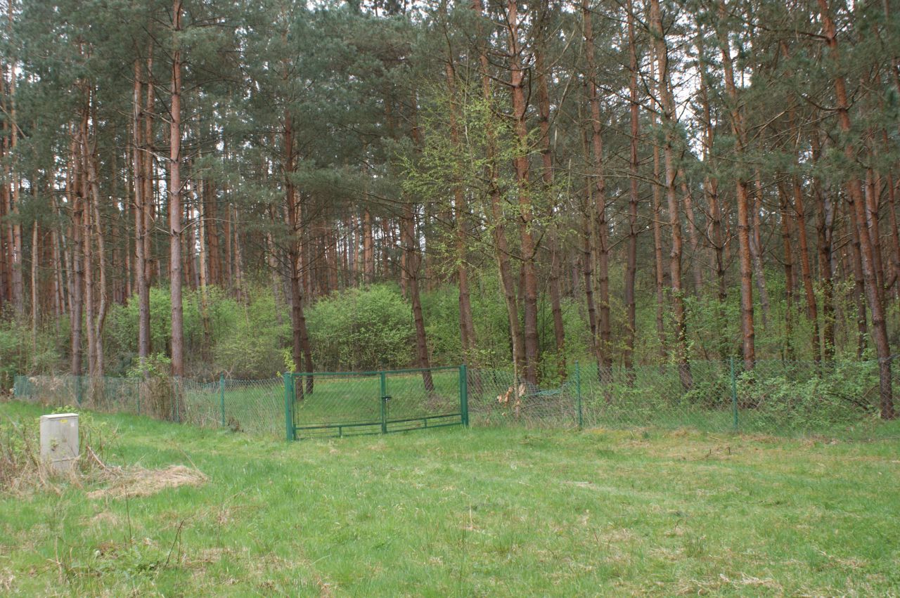 Działka rekreacyjna Czerwona Wola Myszkówka. Zdjęcie 22