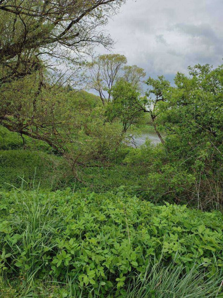 Działka rolna Dobra. Zdjęcie 5