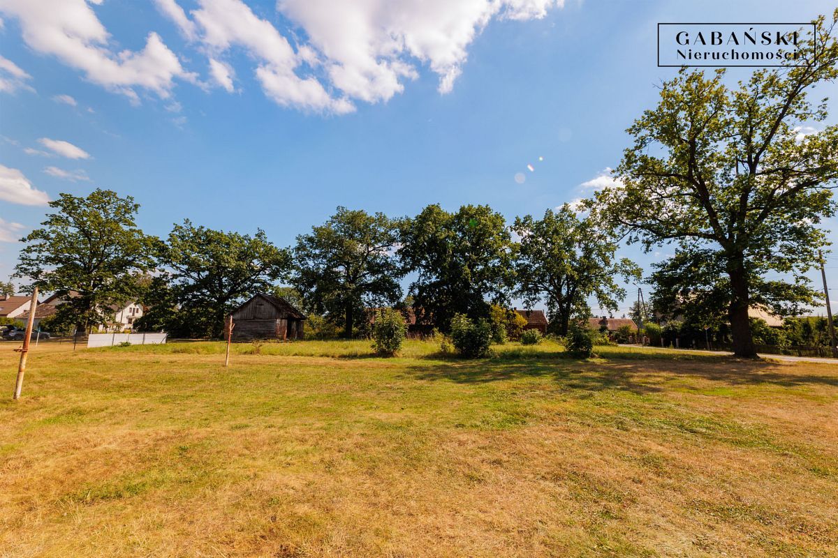 Działka budowlana Dąbrówki Breńskie. Zdjęcie 8