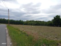 Działka rolno-budowlana Jarnołtówek. Zdjęcie 4