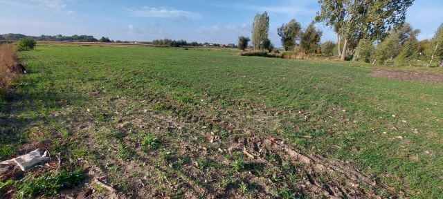 Działka rolna Mikołajew. Zdjęcie 1