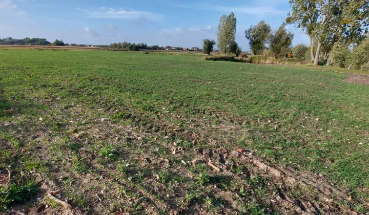 Działka rolna Mikołajew