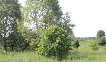 Działka rolna Jankowice