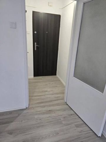 Mieszkanie 2-pokojowe Katowice Koszutka, ul. Wierzbowa. Zdjęcie 7