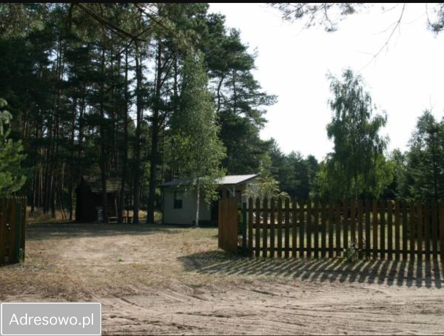 Działka budowlana Miedzno. Zdjęcie 4