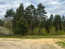 Działka budowlana Wielonek. Zdjęcie 3