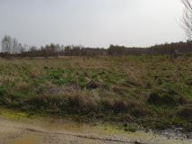 Działka rolno-budowlana Radomsko Stobiecko Miejskie, ul. Częstochowska. Zdjęcie 3