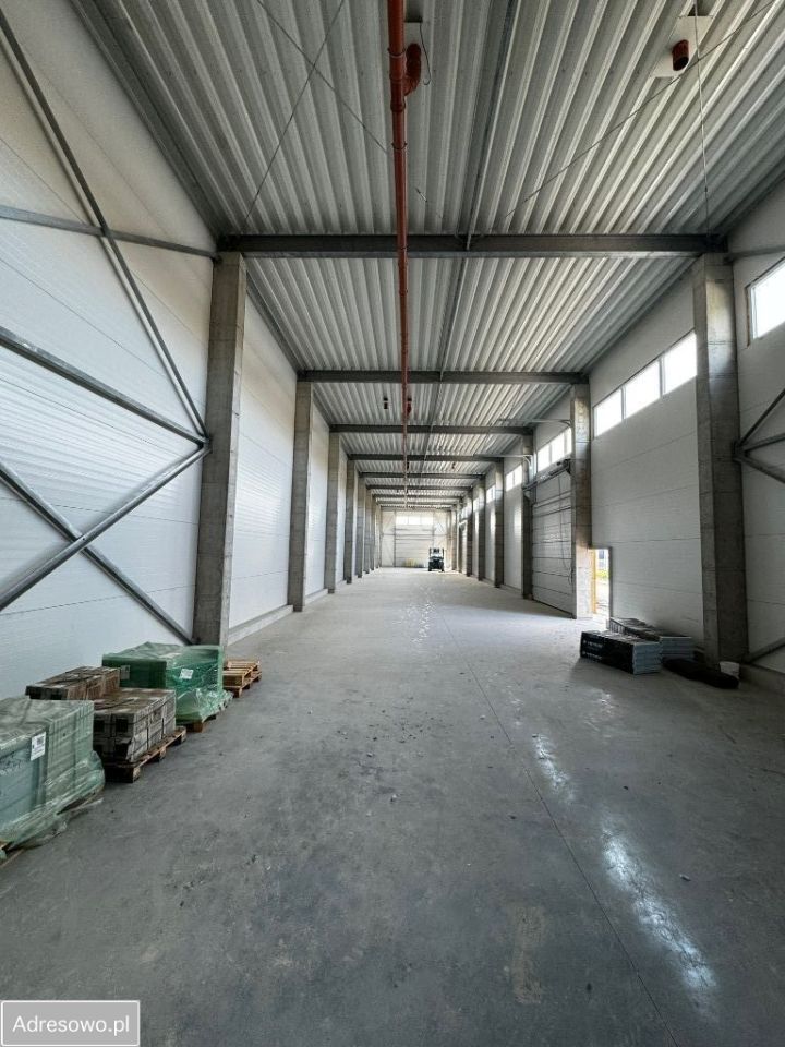 Hala/magazyn Dębica. Zdjęcie 6