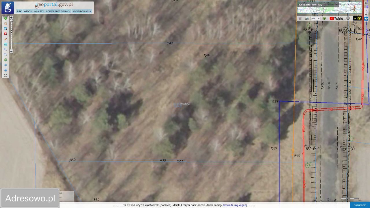 Działka Firlej. Zdjęcie 4