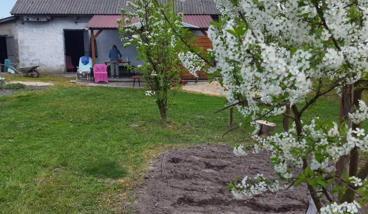 Działka siedliskowa Kępa