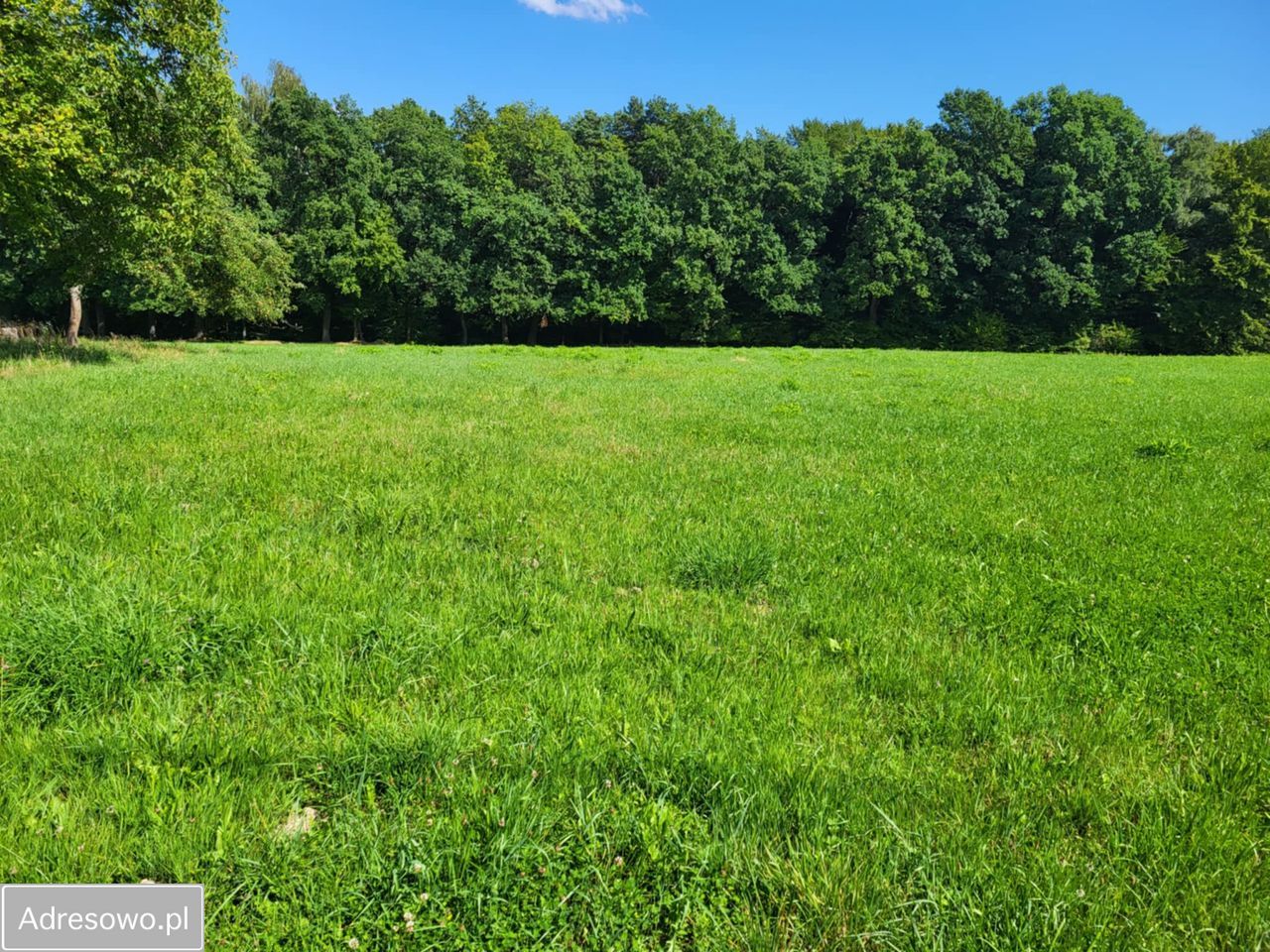 Działka rolno-budowlana Chorągwica. Zdjęcie 4