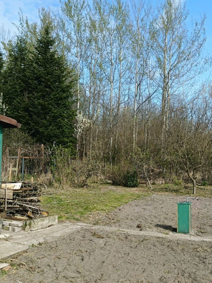 Działka rod Ostrowiec Świętokrzyski, os. Pułanki. Zdjęcie 2