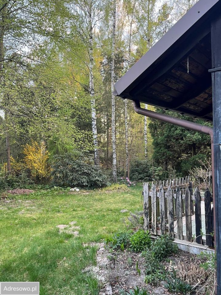 Działka rekreacyjna Rosanów, ul. Młynarska. Zdjęcie 14