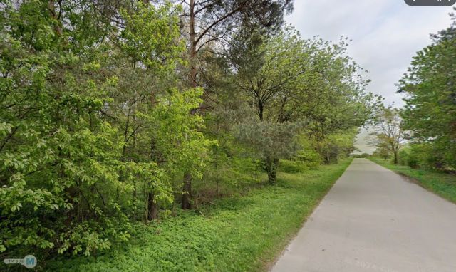 Działka leśna Chmielnik. Zdjęcie 5