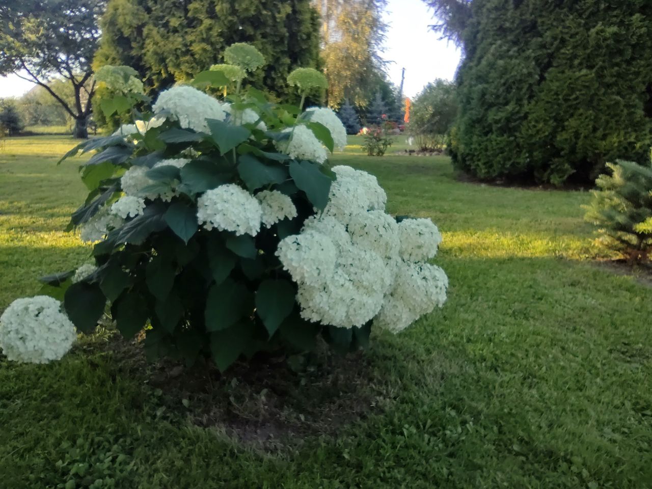 dom wolnostojący, 6 pokoi Mniów Raszówka, ul. Raszówka. Zdjęcie 8