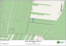 Działka leśna Budy. Zdjęcie 1