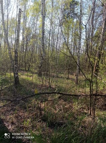 Działka budowlana Tomczyn. Zdjęcie 1