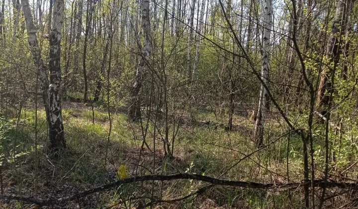 Działka budowlana Tomczyn