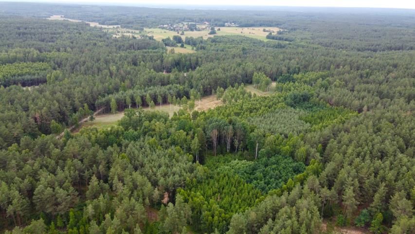 Działka rolna Dzierniakowo. Zdjęcie 8