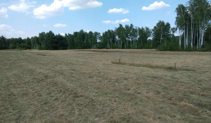 Działka budowlana Choszczowe, ul. Relaksowa