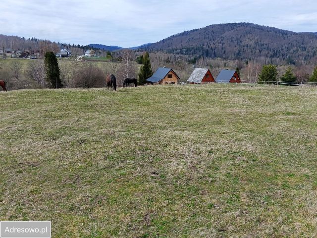 Działka budowlana Strzebowiska. Zdjęcie 1