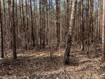 Działka rolno-budowlana Sobaków. Zdjęcie 4